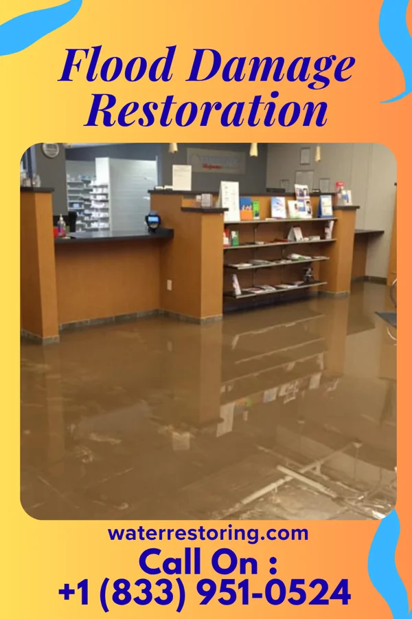 Flood Damage Restoration in Bayou Corne, LA