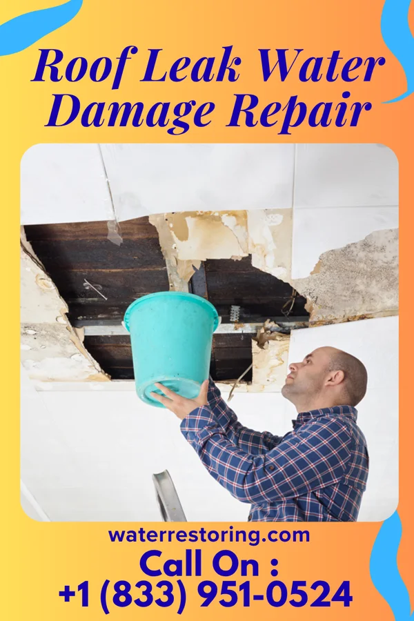 Roof Leak Water Damage Repair in Bayou Corne, LA