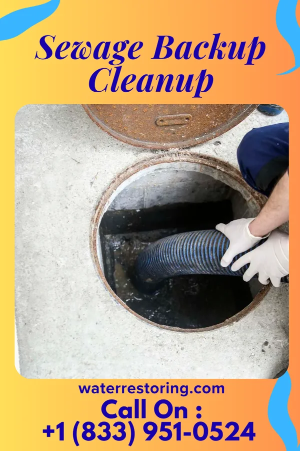 Sewage Backup Cleanup in Bayou Corne, LA